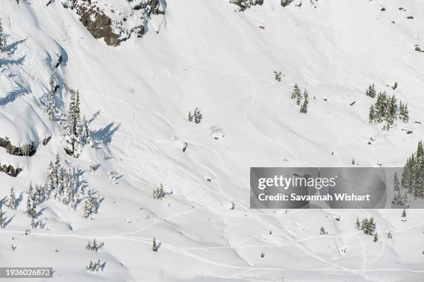 ski tracks decorate the mountains around mount baker, east of bellingham, washington - ruck stock pictures, royalty-free photos & images