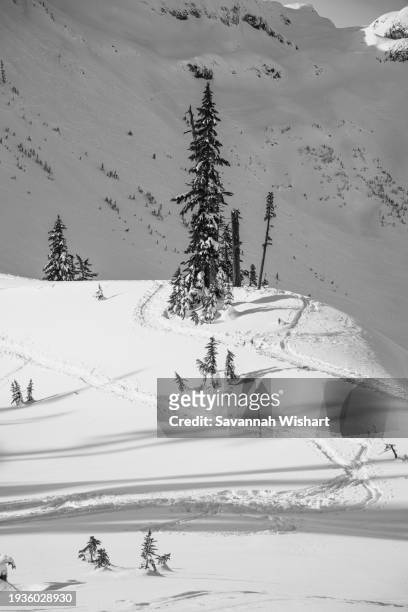 ski tracks decorate the mountains around mount baker, east of bellingham, washington - ruck stock pictures, royalty-free photos & images