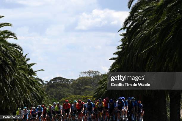 General view of the peloton competing during the 24th Santos Tour Down Under 2024, Stage 1 a 144km stage from Tanunda to Tanunda / #UCIWT / on...