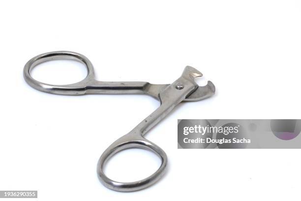 animal grooming clippers for cat and dog claw trimming - klauw-lichaamsdeel-van-dieren stockfoto's en -beelden