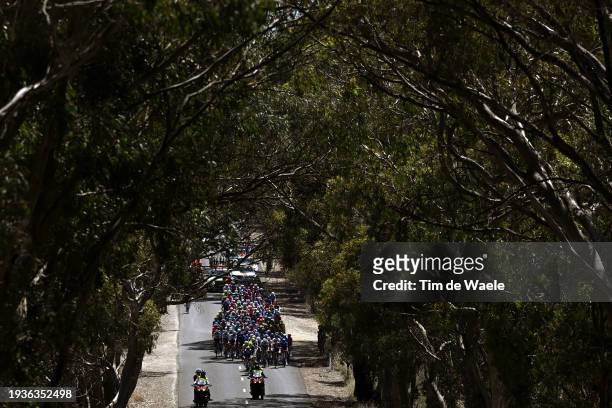 General view of the peloton passing through a landscape during the 24th Santos Tour Down Under 2024, Stage 1 a 144km stage from Tanunda to Tanunda /...