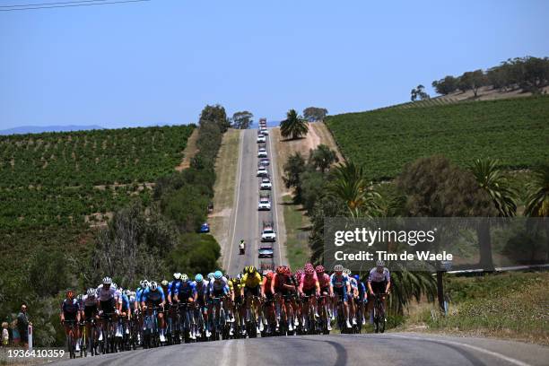 General view of the peloton competing during the 24th Santos Tour Down Under 2024, Stage 1 a 144km stage from Tanunda to Tanunda / #UCIWT / on...