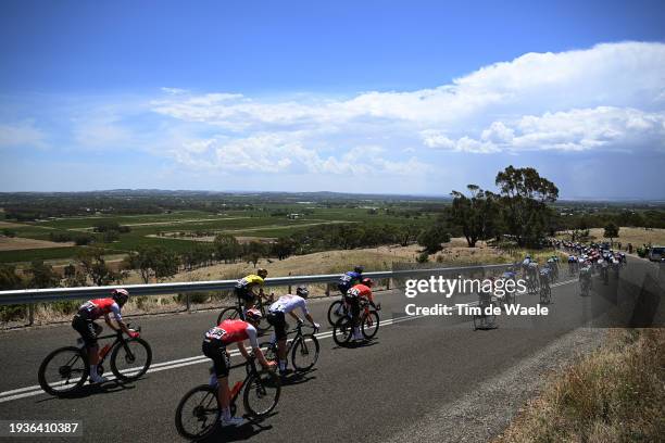 General view of the peloton compete climbing to the Menglers Hill during the 24th Santos Tour Down Under 2024, Stage 1 a 144km stage from Tanunda to...