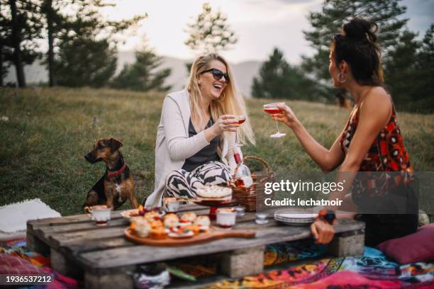 freundinnen, die mit ihrem hund ein picknick in der natur machen - picknick stock-fotos und bilder