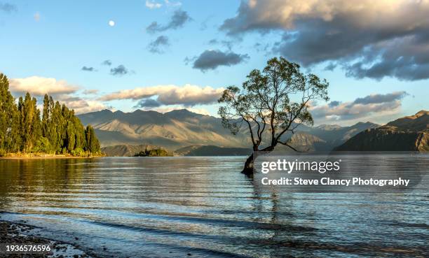 wanaka - lake wanaka stock-fotos und bilder