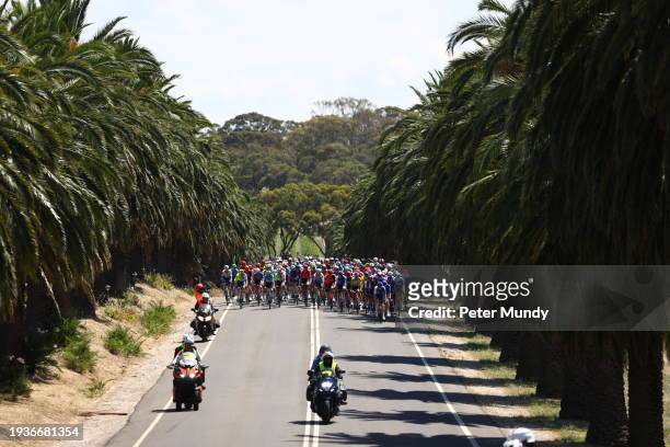 The peloton is seen on Seppeltsfield Road, Nuriootpa during the 24th Santos Tour Down Under Ziptrak Men's Stage 1 from Tanunda to Tanunda on January...