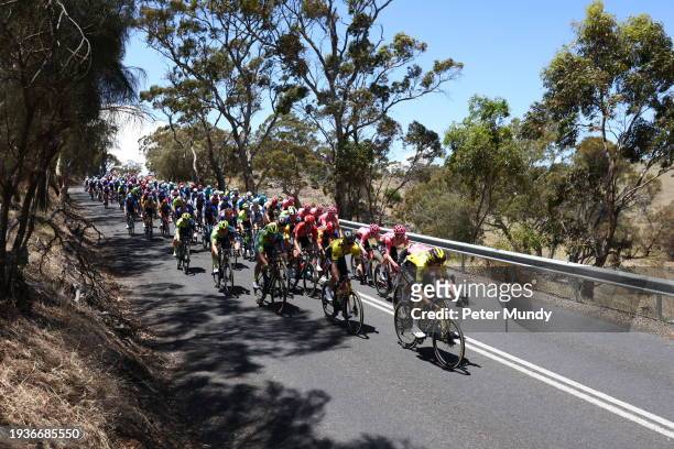 The peloton is seen on Menglers Hill Road, Tanunda during the 24th Santos Tour Down Under Ziptrak Men's Stage 1 from Tanunda to Tanunda on January...