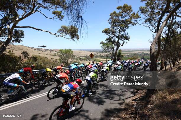 The peloton is seen on Menglers Hill Road, Tanunda during the 24th Santos Tour Down Under Ziptrak Men's Stage 1 from Tanunda to Tanunda on January...
