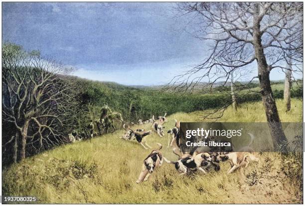 antique photo of paintings: hunting - hound stock illustrations