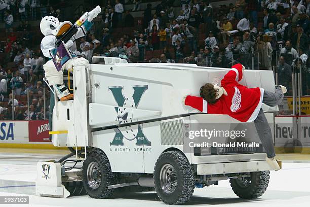 Wild Wing, the mascot for the Mighty Ducks of Anaheim rides on the zamboni during the game against the Detroit Red Wings in round one of the NHL 2003...