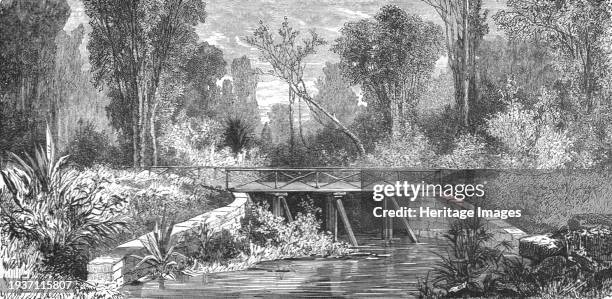 Pont des Francais, New Caledonia; Some Account of New Caledonia', 1875. From 'Illustrated Travels' by H.W. Bates. [Cassell, Petter, and Galpin, circa...