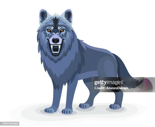 wütender wolf. wolfs-maskottchen. logo-design-illustration. - rumpf eines tieres stock-grafiken, -clipart, -cartoons und -symbole