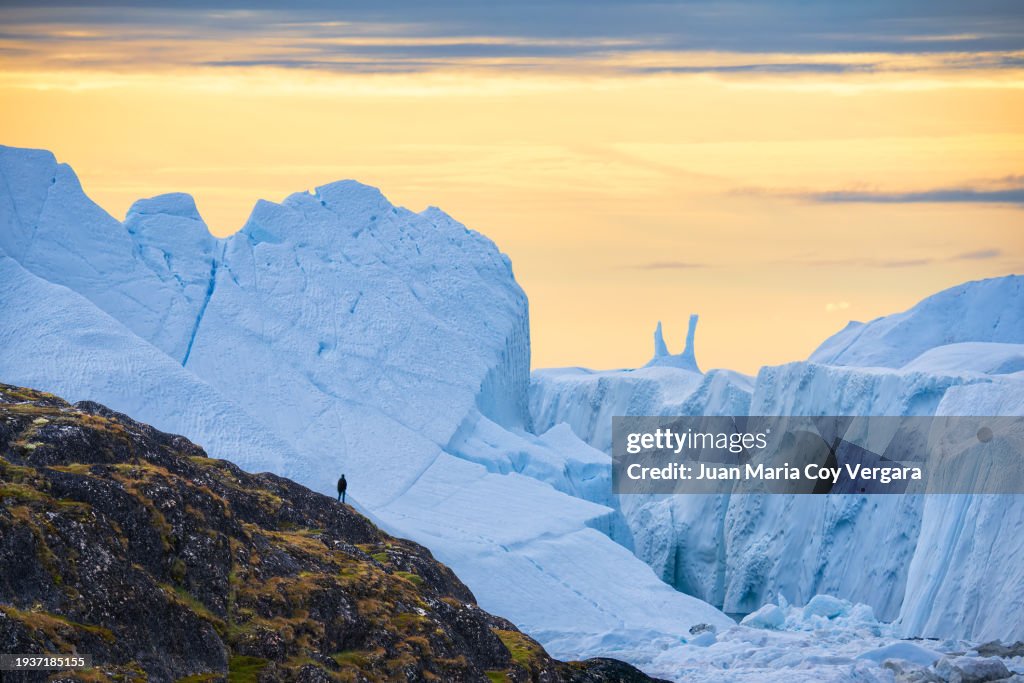 Scenery of tourist man explorer walking on the top of Ilulissat Icefjord at midnight sun sunset. Travel adventure in Arctic landscape nature with icebergs in the background in Greenland