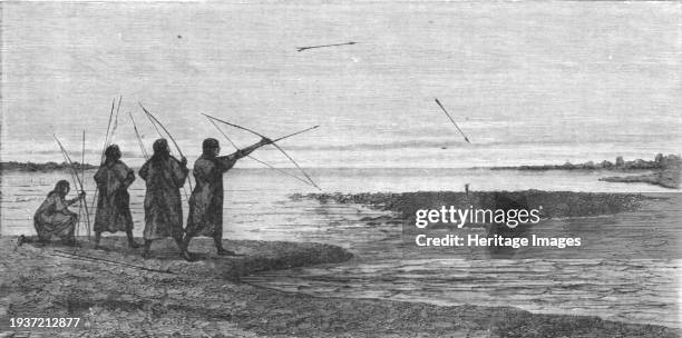 Turtle Shooting; The Fresh-water Turtle of the Amazons', 1875. From 'Illustrated Travels' by H.W. Bates. [Cassell, Petter, and Galpin, circa 1880,...