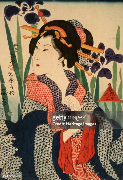 Beauty with Irises, 19th century. Creator: Tsukioka Yoshitoshi.