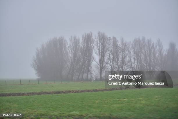 amsterdam foggy landscape - amsterdam sunrise stock pictures, royalty-free photos & images