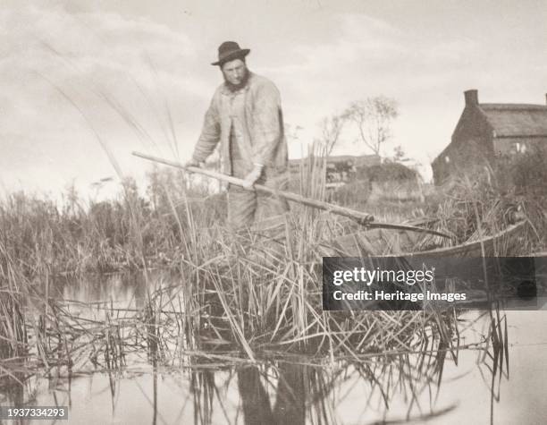 Cutting the Gladdon, 1886. Plate: Plate XXXII. Creator: Peter Henry Emerson.