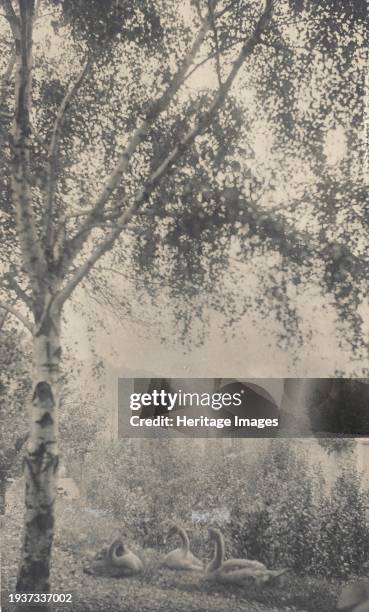 Rodin's Garden, circa 1893. Creator: Gertrude Kasebier.