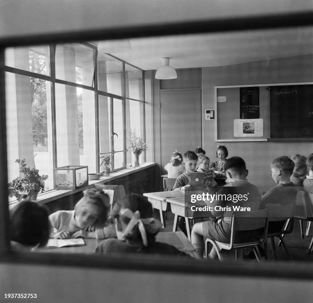 Pupils sit at desks reading, with plants, flowers and a small fish tank arranged along the windowsill, in a classroom of Bishop's Bridge Road School,...