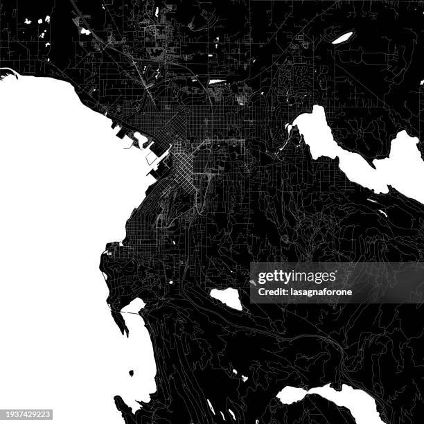 bellingham, washington, usa vector map - bellingham washington state stock illustrations