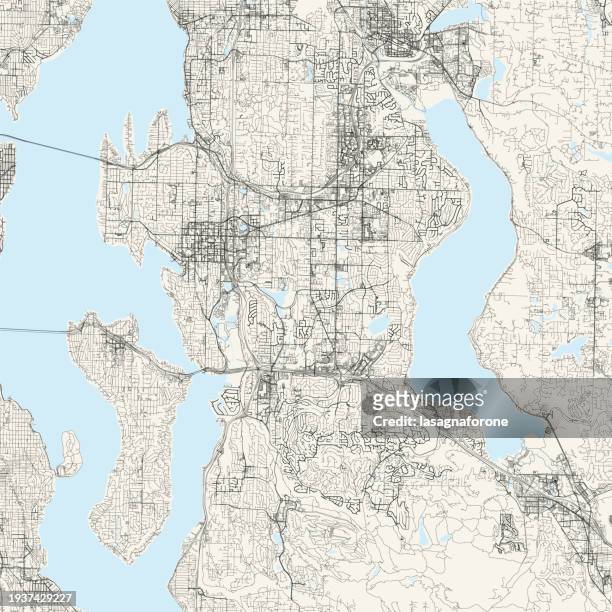 bellevue, washington, usa vector map - washington state county map stock illustrations