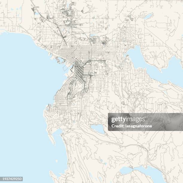 bellingham, washington, usa vector map - bellingham washington state stock illustrations
