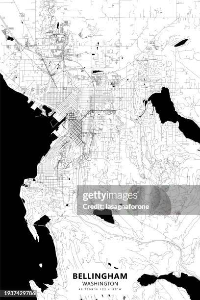 bellingham, washington, usa vector map - bellingham washington state stock illustrations