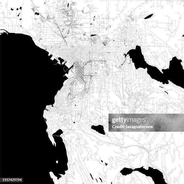 bellingham, washington, usa vector map - bellingham washington state stock illustrations