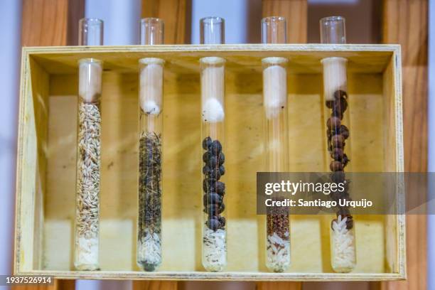 Modified Seeds 1,379 Genetically Modified Seeds Stock Photos, High-Res Pictures, and ...