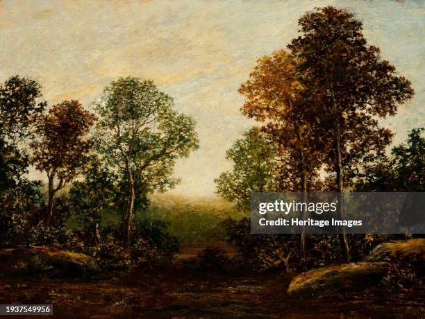 Landscape with Trees , between circa 1883 and circa 1898. Creator: Ralph Blakelock.