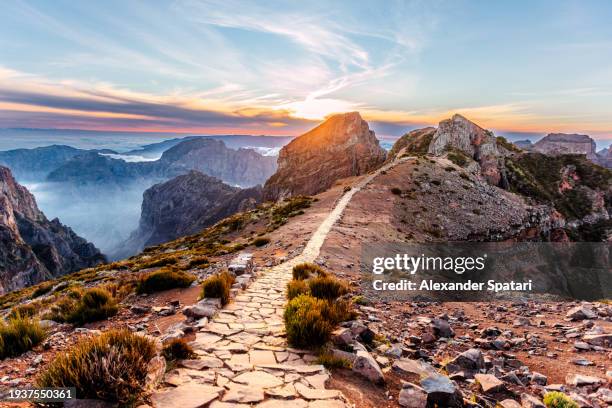hiking footpath in the mountains at sunset, madeira island, portugal - landweg stockfoto's en -beelden