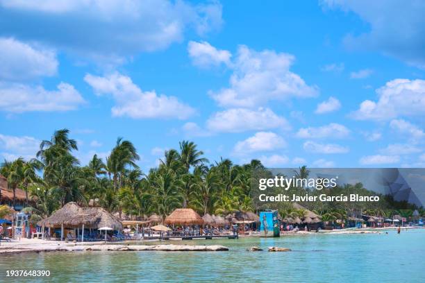 holbox island - isla holbox stock-fotos und bilder