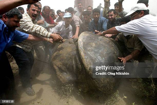 Iraqi men push a head of a statue of Saddam Hussein after its destruction April 18, 2003 in Baghdad, Iraq.