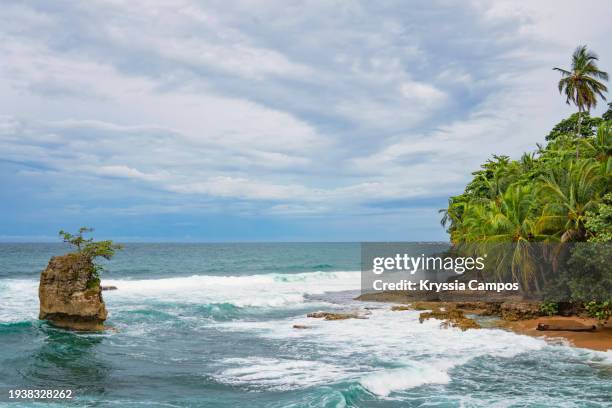 caribbean dream: picture-perfect beachscape in costa rica - puerto viejo stock pictures, royalty-free photos & images