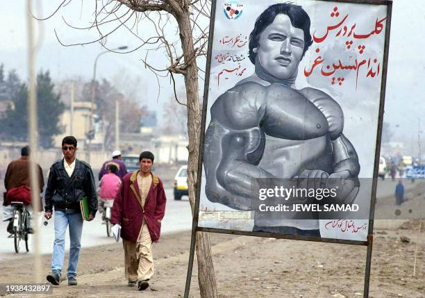274 Arnold Schwarzenegger Body Stock Photos, High-Res Pictures, and