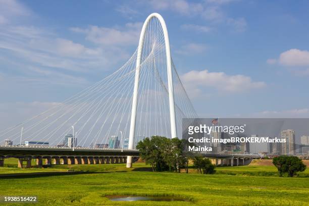 dallas skyline on the trinity river and margaret hunt hill bridge in texas dallas, usa, north america - dallas margaret hunt hill bridge stock pictures, royalty-free photos & images