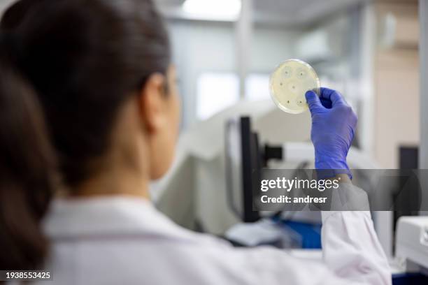 microbiologist at the laboratory looking at a fungal culture and diagnosing a nail disease - onychomycosis stock pictures, royalty-free photos & images