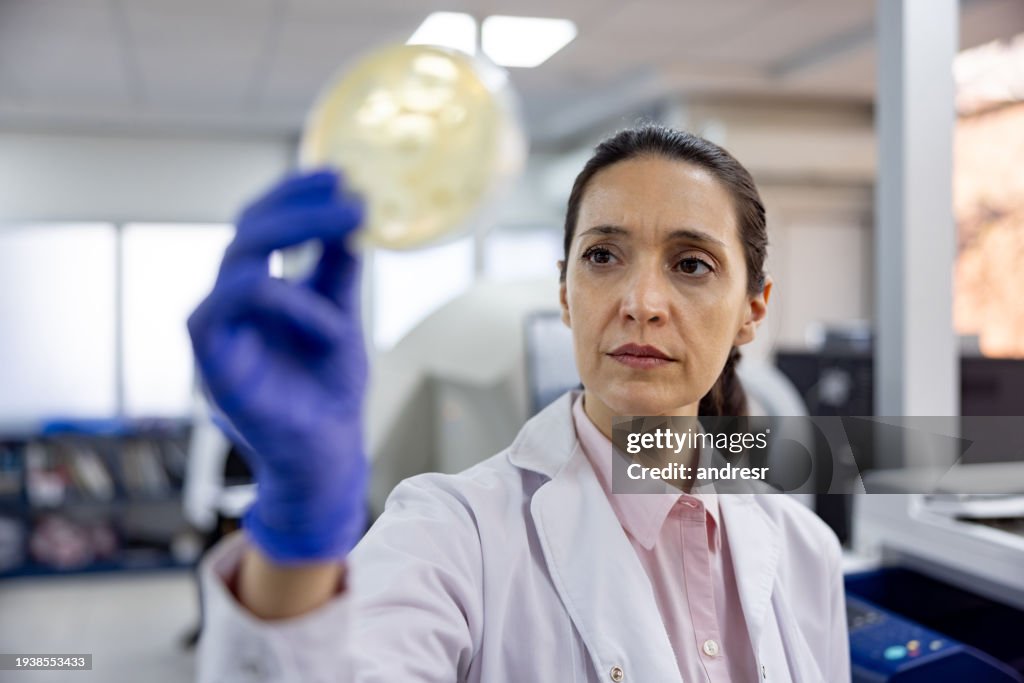 ペトリ皿の中の真菌培養物を見ている研究室の微生物学者