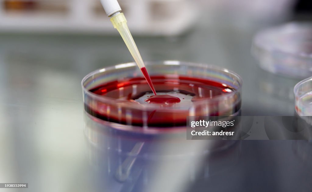 Blood analysis at the laboratory