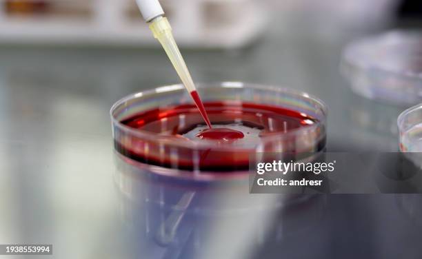 blood analysis at the laboratory - hematology stock pictures, royalty-free photos & images