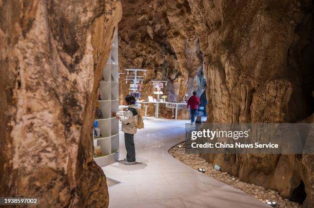 Cave Spring Library Underground Library Photos and Premium High Res Pictures - Getty Images