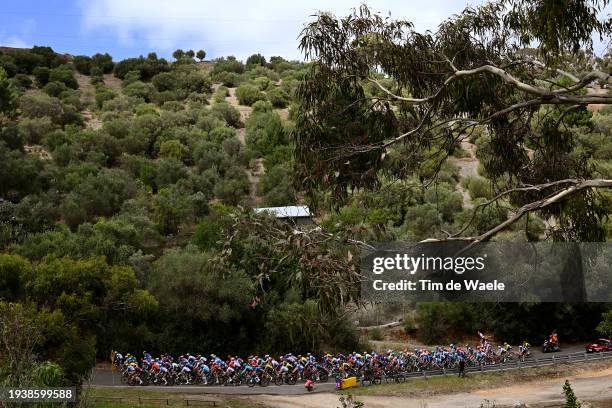 General view of the peloton passing through a landscape during the 24th Santos Tour Down Under 2024, Stage 2 a 141.6km stage from Norwood to Lobethal...