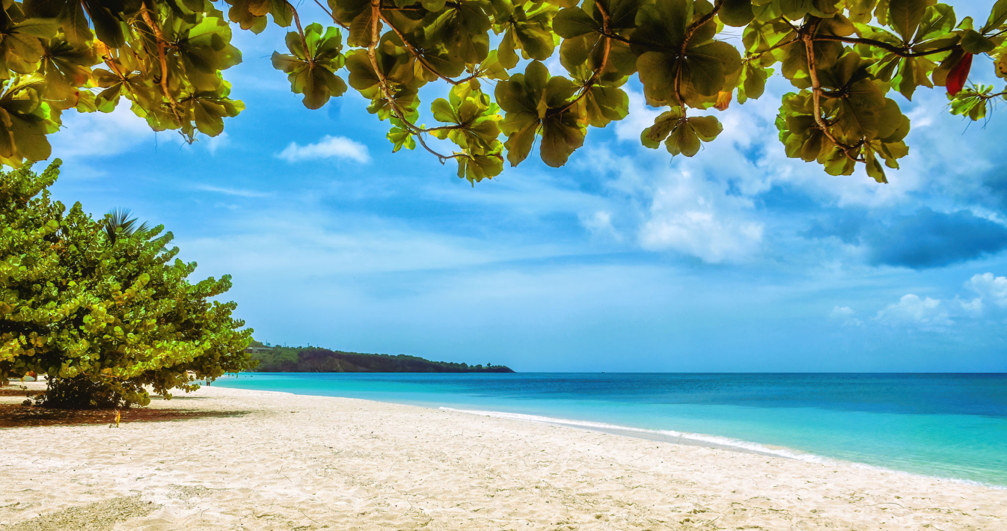 Nevis beach