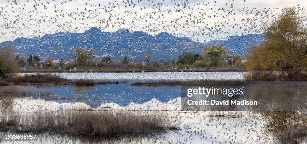 Sutter Buttes Rice Sutter Buttes Photos and Premium High Res Pictures - Getty Images