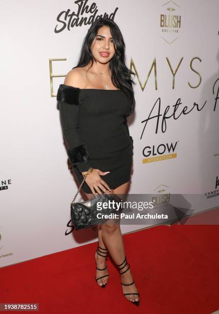 Dess Delgado attends the 75th Annual Emmy Awards Watch And After Party on January 15, 2024 in Hollywood, California.