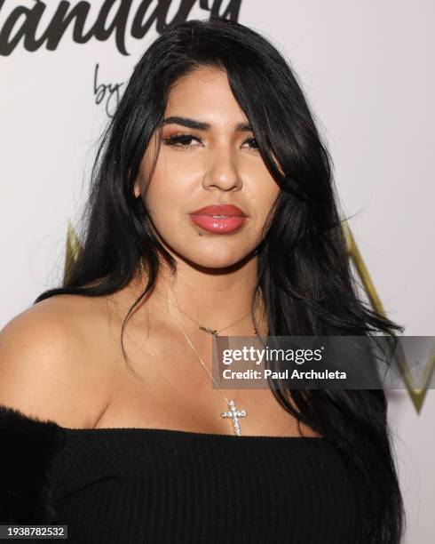 Dess Delgado attends the 75th Annual Emmy Awards Watch And After Party on January 15, 2024 in Hollywood, California.