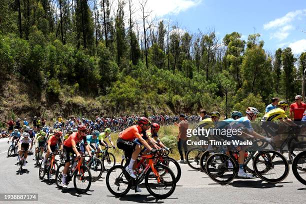 General view of the peloton compete climbing to the Fox Creek during the 24th Santos Tour Down Under 2024, Stage 2 a 141.6km stage from Norwood to...