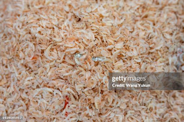 Tiny Shellfish 1,214 Small Shrimp Stock Photos, High-Res Pictures, and Images - Getty ...