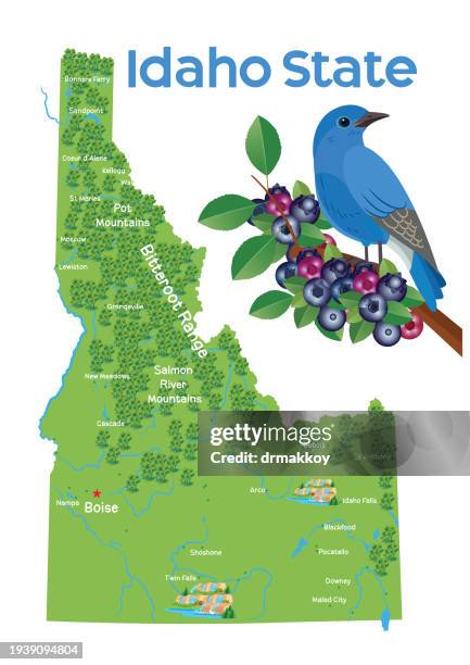 idaho state map and bluebird - portulaca stock illustrations