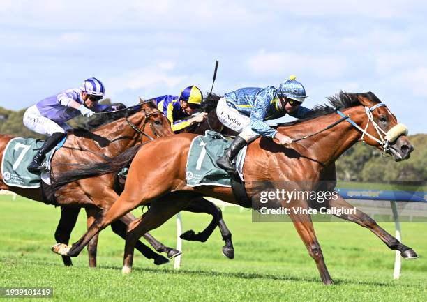 Luke Nolen riding Amigo winning Race 3, the Tobin Brothers Celebrating Lives, during Melbourne Racing at Sandown Hillside on January 17, 2024 in...